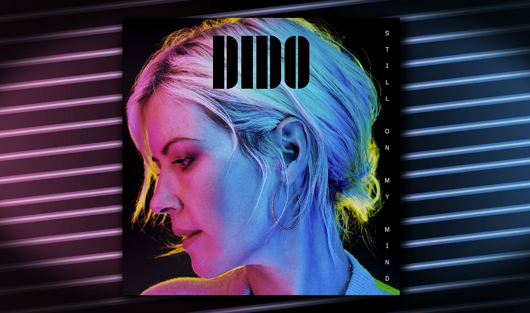 DIDO_Web