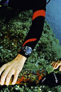 Rolex Oyster Perpetual Deepsea olex Oyster Perpetual Deepsea