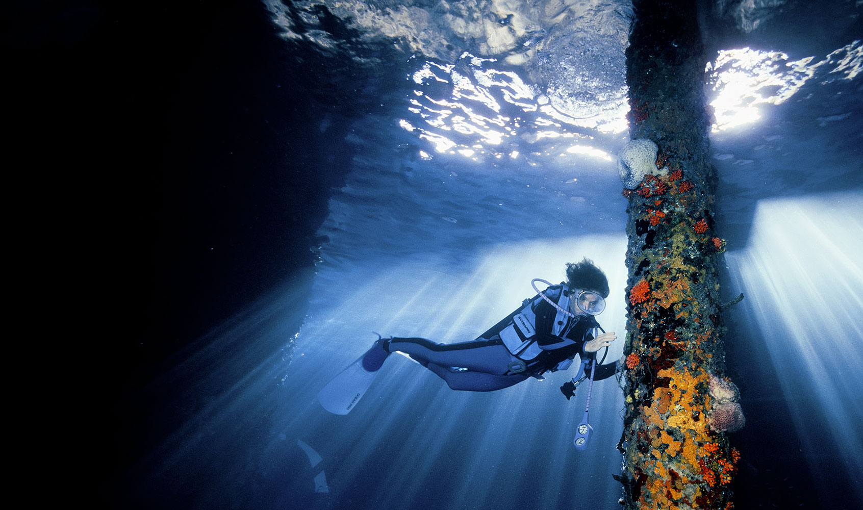 Silvya Earle oceanografa
