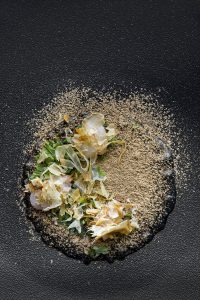 Orzo,terra,carbone